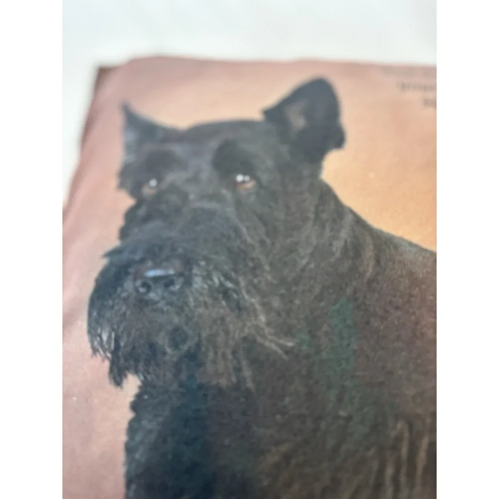 Black Scottish Terrier Throw Pillow Scottie Dog 13